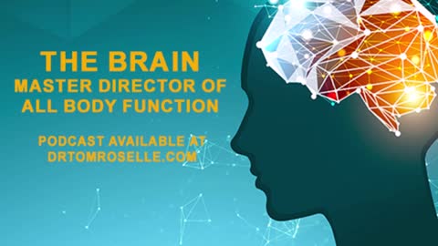 The Brain - The Master Director of All Body Functions