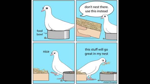 Funny Comics With A Parrot Twist