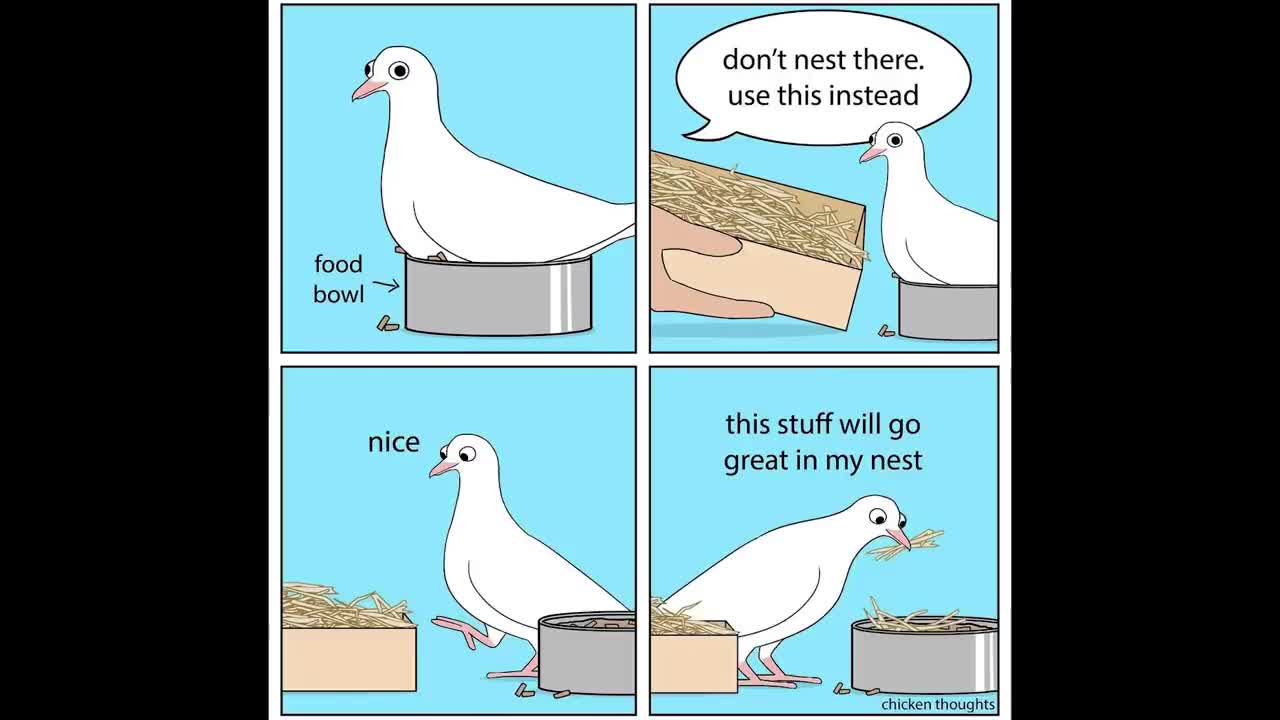 Funny Comics With A Parrot Twist