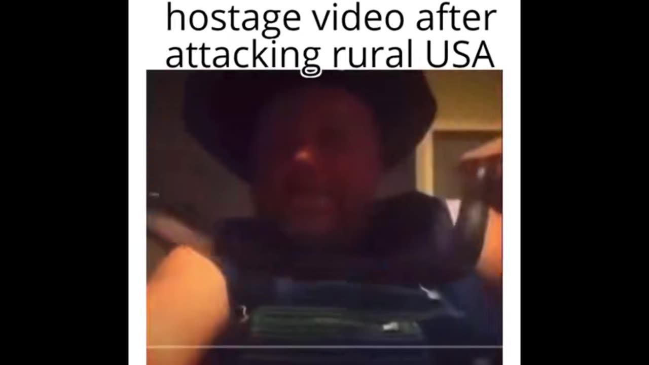Random Memes