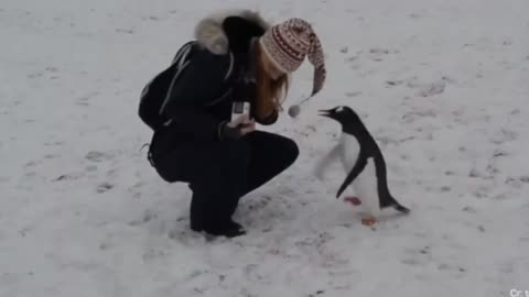 Funny Videos Compilation December 2021