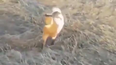 Making New Friends Is Easy