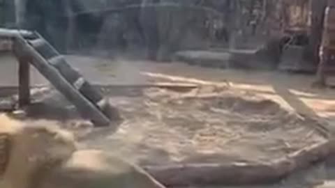 It was at the zoo