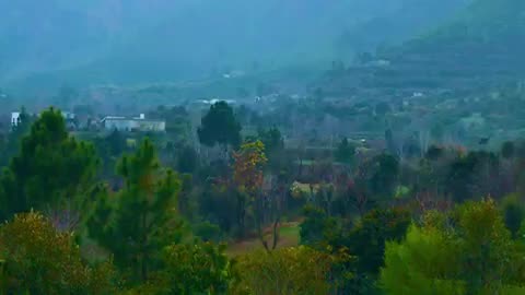 #bunerbeauty #nature #love #kpkbeauty #kpktourism