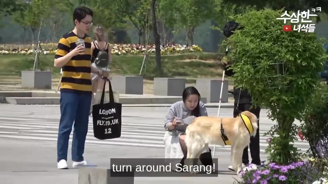 Korean Pranks Funny