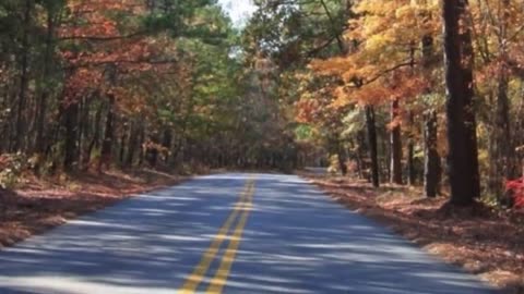 5 STRANGEST disappearances in forests | The Missing 411 phenomenon