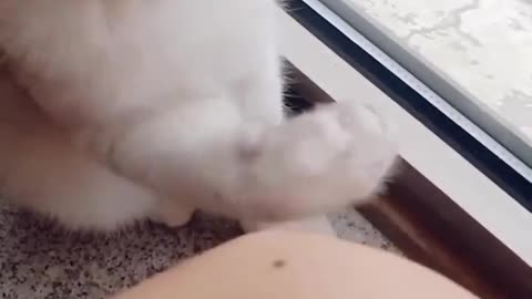 Did you catch the bug 😂