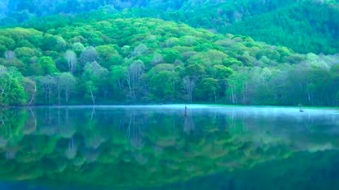 4K Mysterious Lake in Japan Lake Water Sounds Sleep Relax Focus Meditation