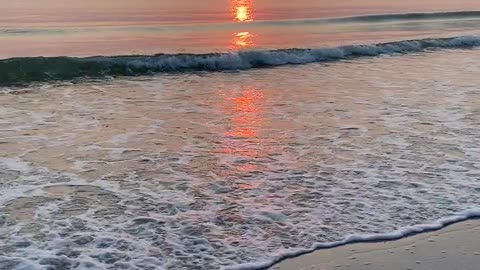 Nature beauty