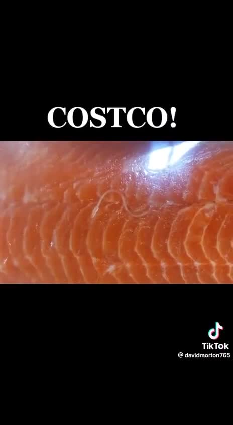 salmon with parasite