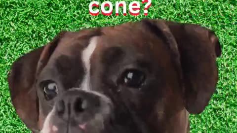 Frank! Leave that kid alone!