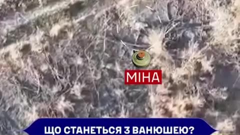 Mine or Drone?
