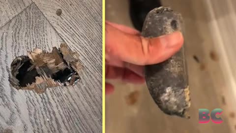 A Florida family is suing NASA after a piece of space debris crashed through their home