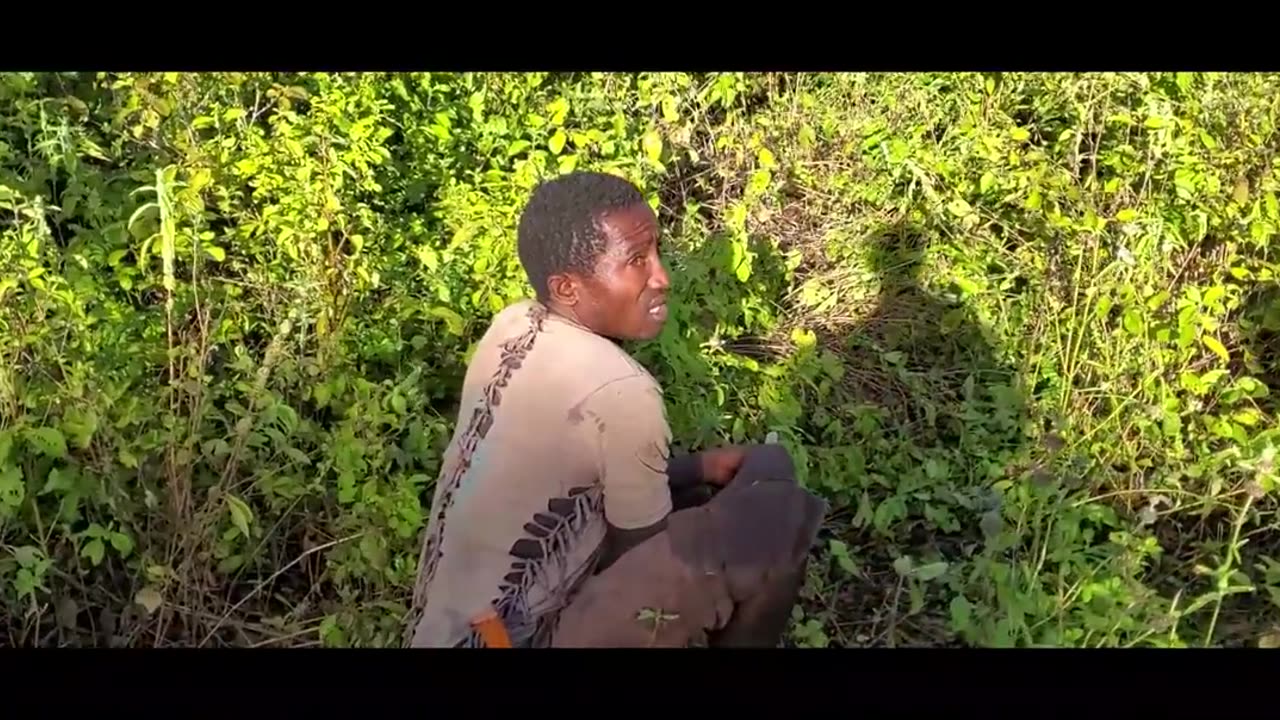 Hadzabe hunter gatherer & traditional life style