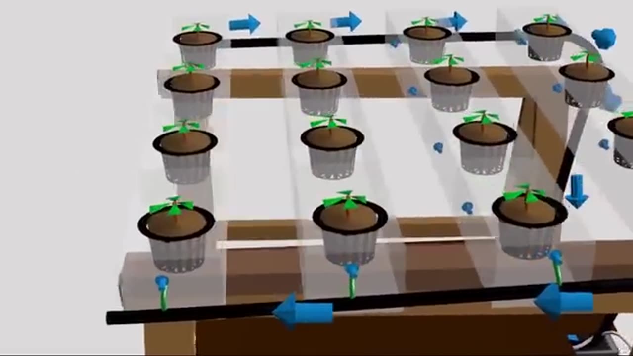 HYDROPHONIC NFT SYSTEM