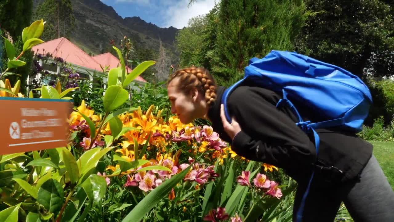 Walter Peak Country Farm Gourmet BBQ and Cruise from Queenstown, New Zealand