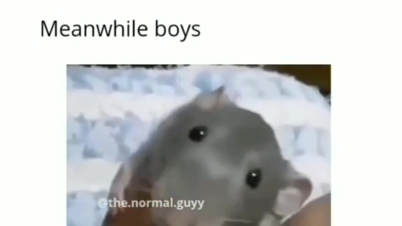 😂😂😂😂😂