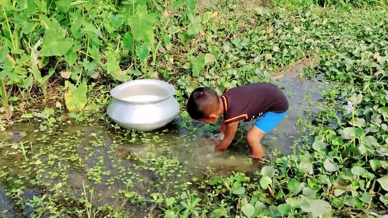 Really Amazing Hand Fishing Video | Traditional Boy Catching Fish By Hand in Raining Water