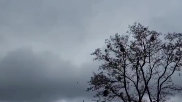 ️️️Video air battle near Kiev According to eyewitnesses, they saw MiG-29 and Su-25 in the sky