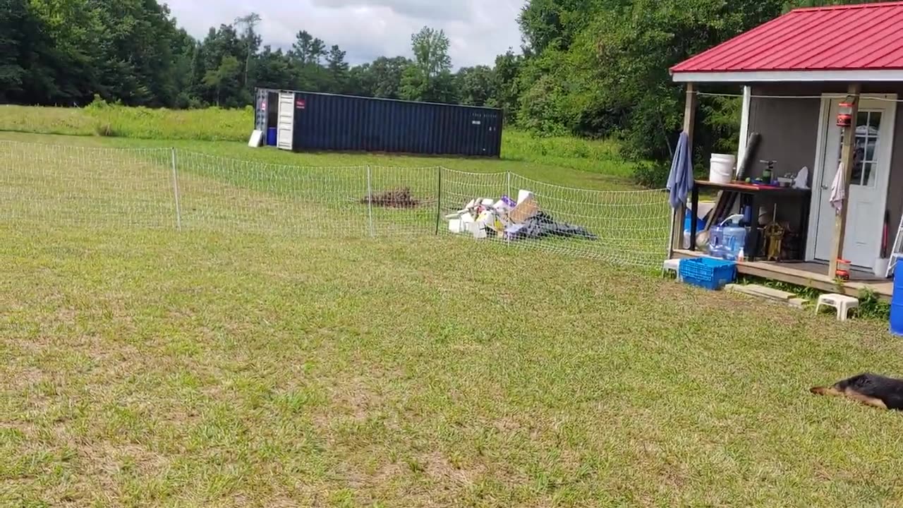 Tour of Popup Homestead in Our First Year