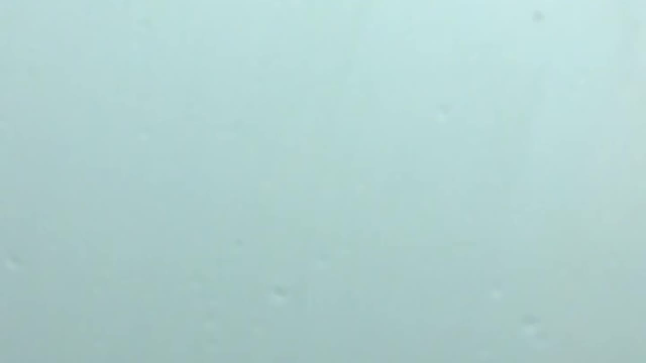 August 10th Thunder & Lightning (2022)