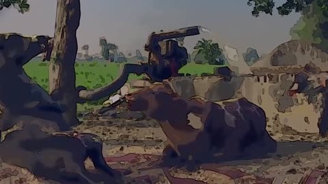 ANIMAL TO THE DANCE FLOOR
