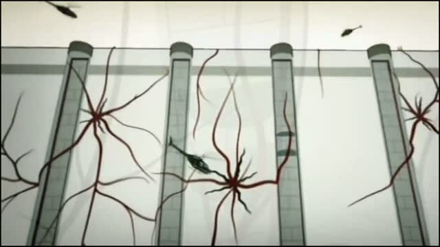 AMV Depeche Mode + MEP