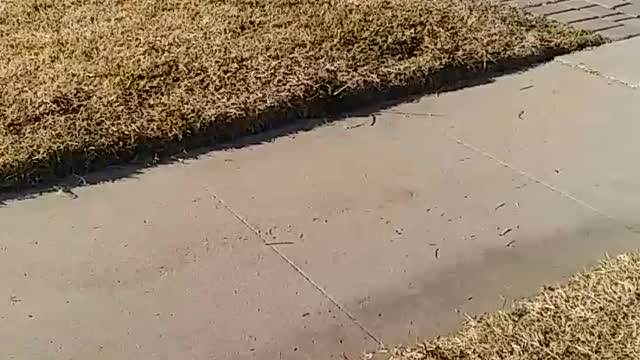 ACROSS THE STREET PART 1