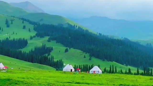 Have to come to Xinjiang! Watch the grassland with you.