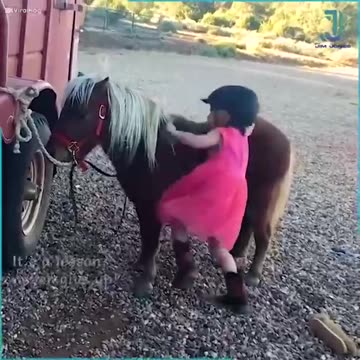 🟪🟡NEVER GIVE UP🟪🟡Life Lessons🟪🟡