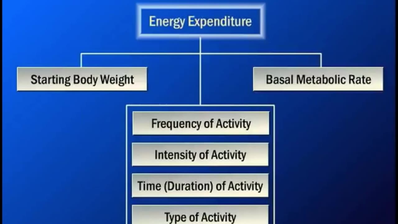 Get Fit, Not Fat: The Science of Exercise and Weight Loss | Part 02|