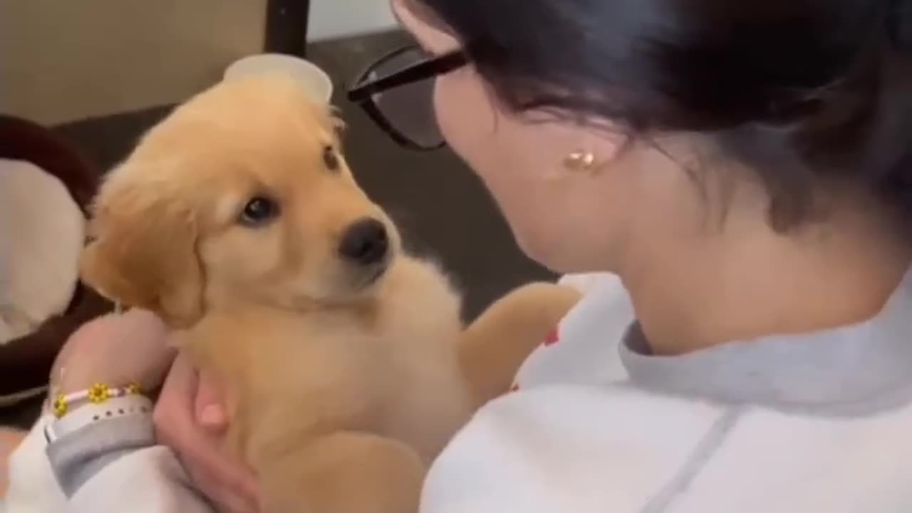 Pup Kisses