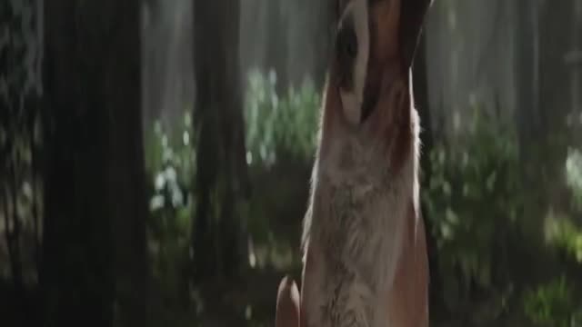 Movie Best Scine