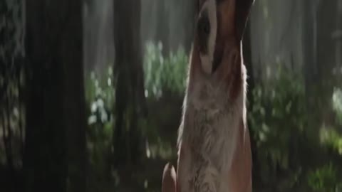 Movie Best Scine