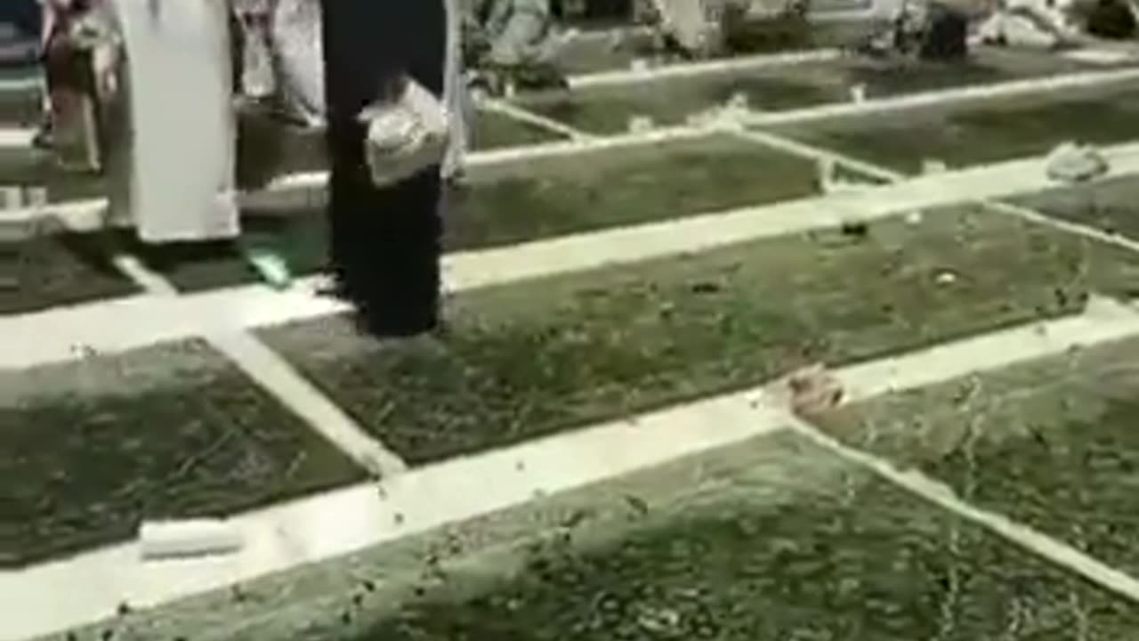 At Muhammad's grave to celebrate Ramadan when suddenly heavy rain hordes of locusts