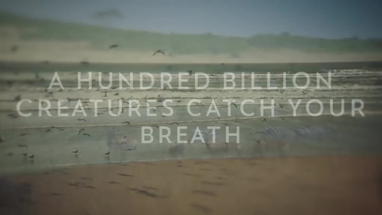 So Will I (100 Billion X) Lyric Video - Hillsong United