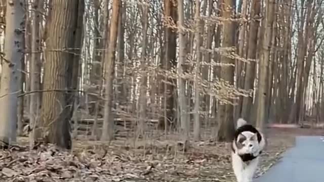 Magic moves