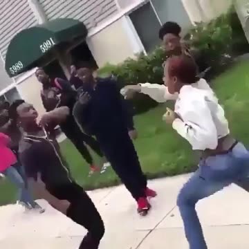 The 7 Plus Quality Fight