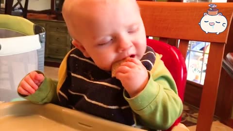 Best funny videos of 2023, hungry cute babies