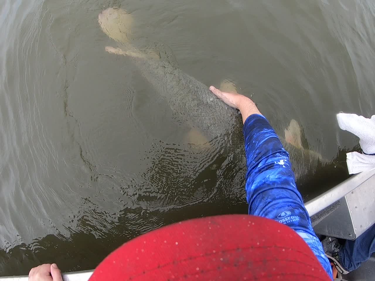 4ft monster caught