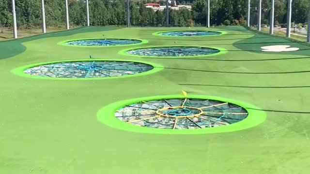 Pro #golf #trending #foryoupage #fypシ