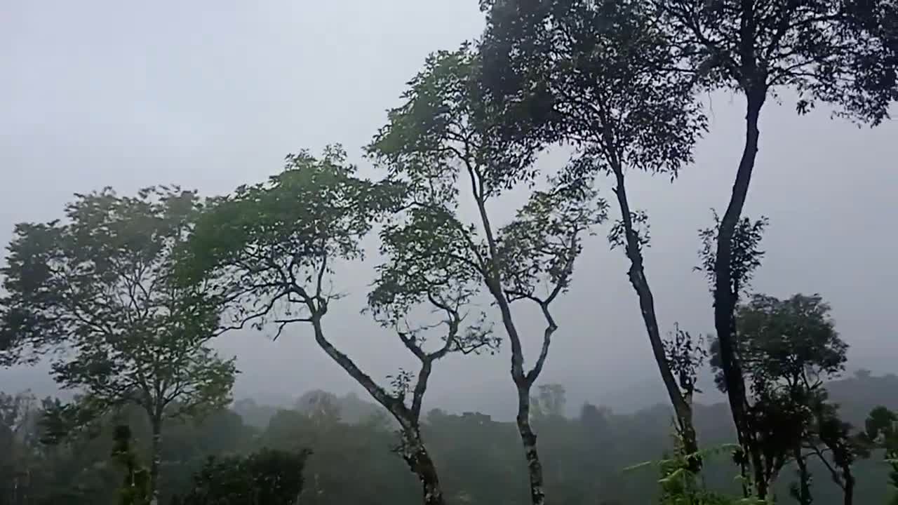 Coorg,medikere,kodagu