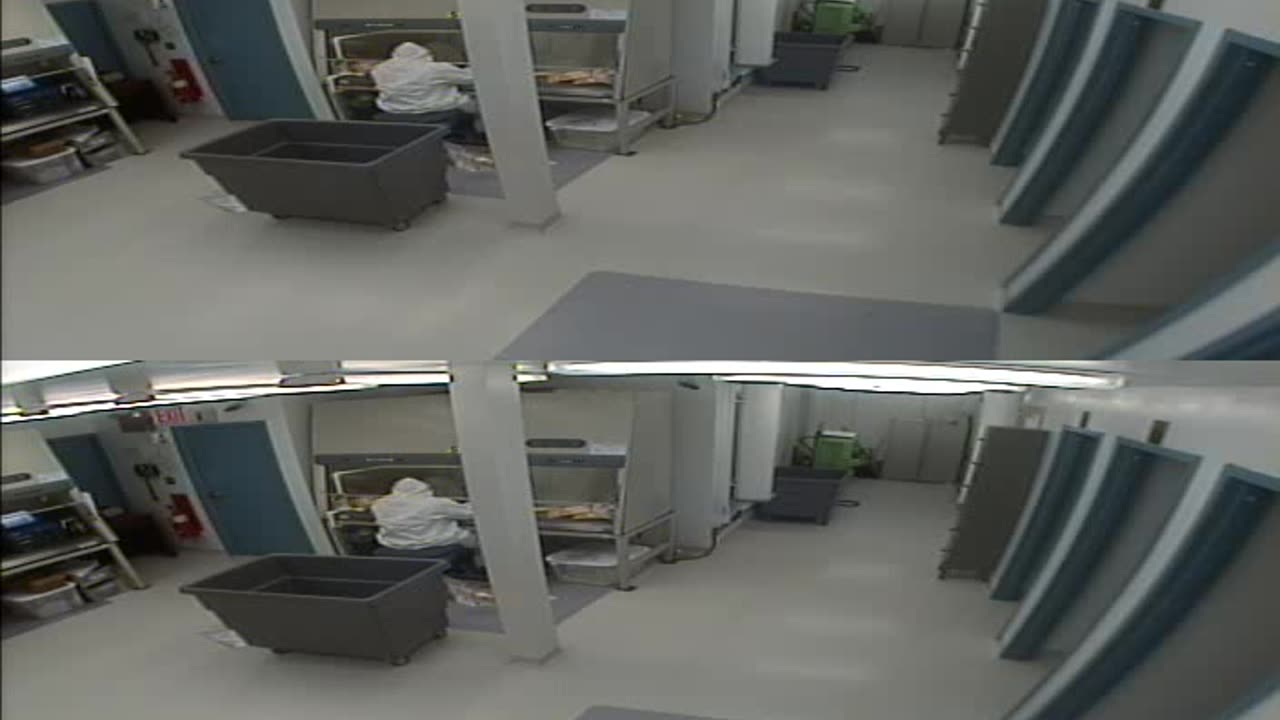 1702CRIB01CribAnalysisArea_2021-01-06_11h00min02s730ms.mp4