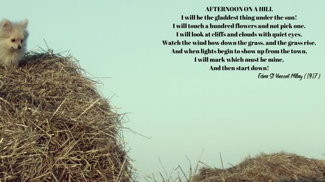 Afternoon on a Hill by Edna St. Vincent Millay