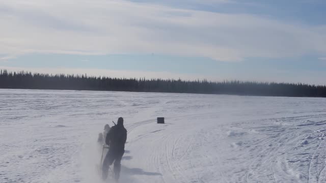 Husky Dog Sledding & Mushing Experience in Fairbanks, Alaska in April