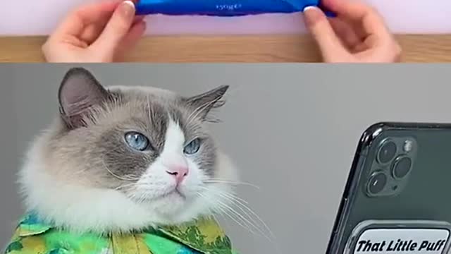 Why it failed Someone answer me!!!