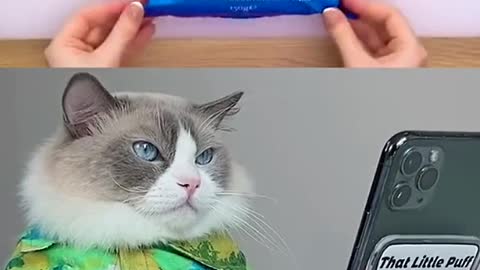 Why it failed Someone answer me!!!