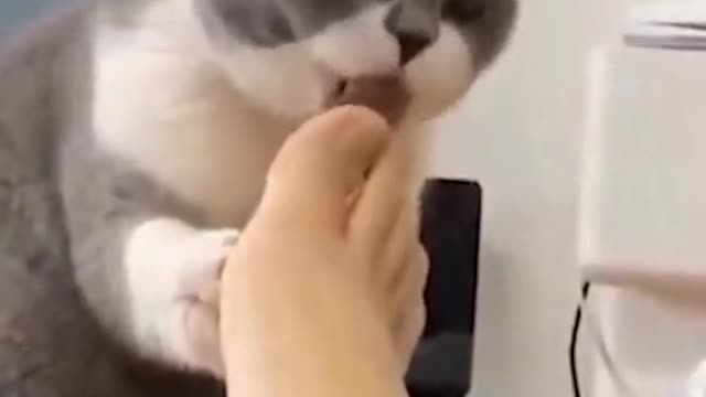 Hhhhh