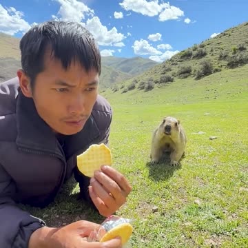 This groundhog wants some food🤣