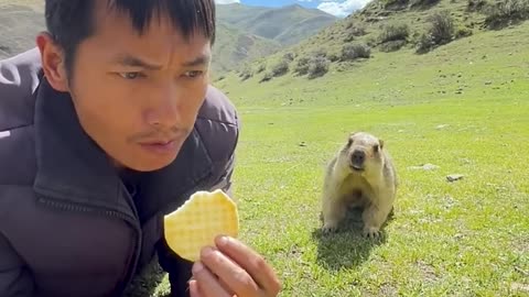 This groundhog wants some food🤣